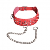 Красный кожаный ошейник с карабином и поводком - Sitabella - купить с доставкой в Сызрани