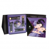 Подарочный набор Geishas secret из 5 предметов - Shunga - купить с доставкой в Сызрани