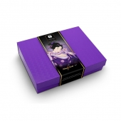 Подарочный набор Naughter Kit - Shunga - купить с доставкой в Сызрани