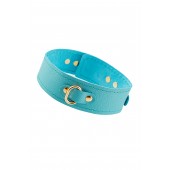 Голубой кожаный однослойный ошейник с прошивкой - Pecado - купить с доставкой в Сызрани