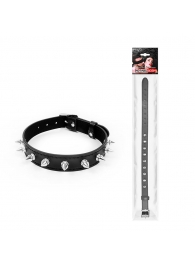 Черный ошейник с серебристыми шипами - Notabu - купить с доставкой в Сызрани