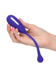 Фиолетовый шарик с электростимуляцией и вибрацией Intimate E-Stimulator Remote Kegel Exerciser - California Exotic Novelties - купить с доставкой в Сызрани