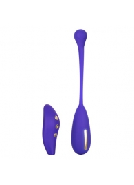 Фиолетовый шарик с электростимуляцией и вибрацией Intimate E-Stimulator Remote Kegel Exerciser - California Exotic Novelties - купить с доставкой в Сызрани