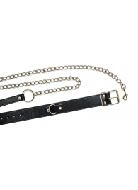 Черный ошейник с поводком Wild - Lola Games - купить с доставкой в Сызрани