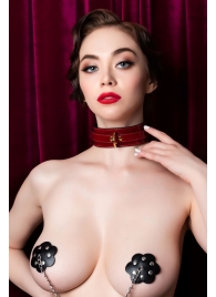 Красный ошейник из лакированного материала - ToyFa - купить с доставкой в Сызрани