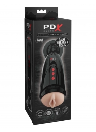 Мастурбатор-вагина с вибрацией Dirty Talk Starter Stroker - Pipedream - в Сызрани купить с доставкой
