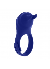 Синее эрекционное виброкольцо с клиторальной подушечкой и пультом ДУ Adjustable Fun Ring - Zero Tolerance - в Сызрани купить с доставкой