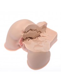 Мастурбатор-полуторс Naked Factory Kate - Naked Factory - в Сызрани купить с доставкой