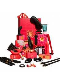 Адвент-календарь Lovehoney Couple’s Advent Calendar 2025 - We-vibe - купить с доставкой в Сызрани