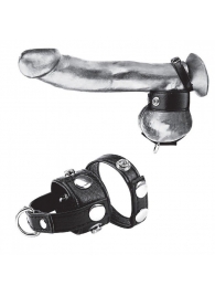 Утяжка для мошонки и пениса Cock Ring With 1  Ball Stretcher And Optional Weight Ring - BlueLine - купить с доставкой в Сызрани