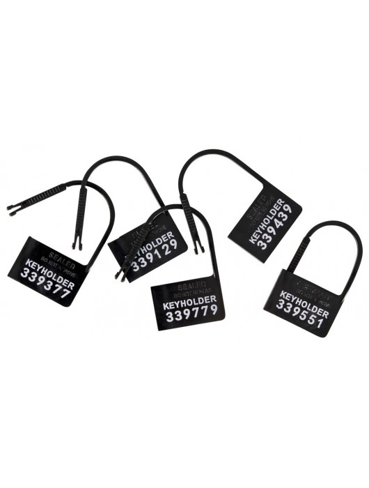 Набор для мужского пояса верности Cock Cage Set - Orion - купить с доставкой в Сызрани