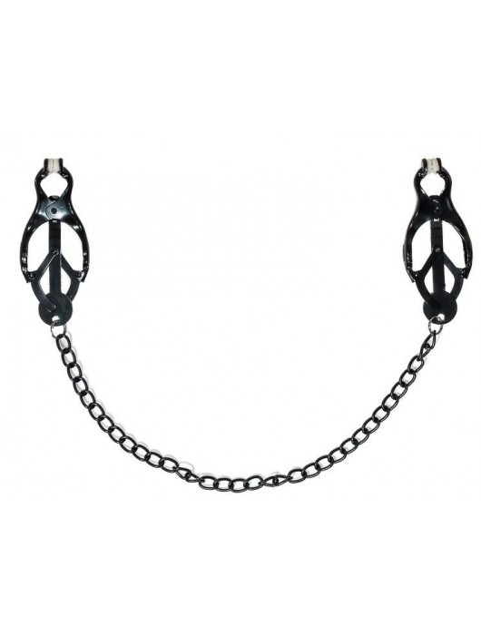 Зажимы на соски Darkside с цепочкой - Lola Games - купить с доставкой в Сызрани