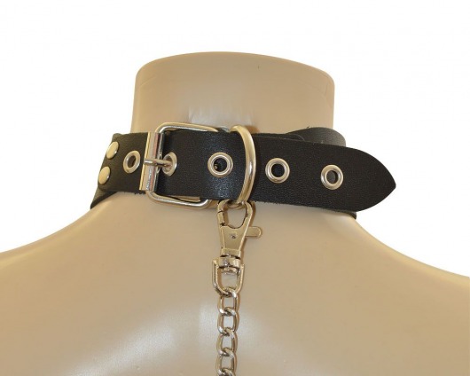 Ошейник  Веселый Роджер - Sitabella - купить с доставкой в Сызрани