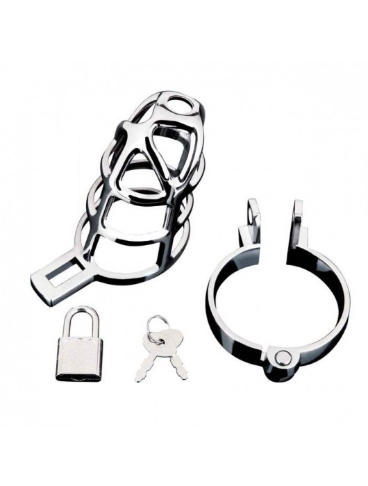 Серебристая металлическая клетка для члена с замком Enslave Cock Cage - BlueLine - купить с доставкой в Сызрани