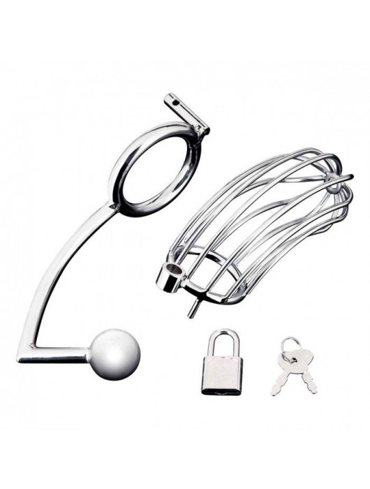 Серебристая металлическая клетка с анальным стимулятором Cock Cage - BlueLine - купить с доставкой в Сызрани