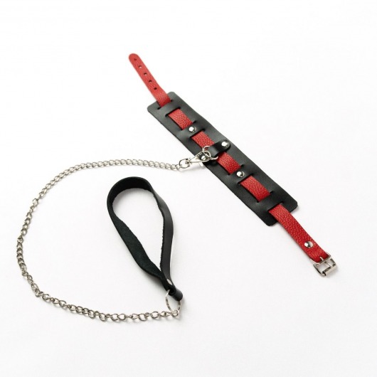 Черный ошейник с красным ремешком и поводком - Crazy Handmade - купить с доставкой в Сызрани