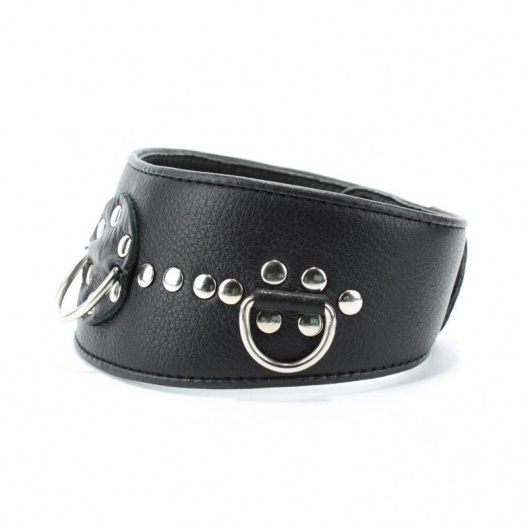 Чёрный кожаный ошейник с полукольцами и клёпками - БДСМ Арсенал - купить с доставкой в Сызрани