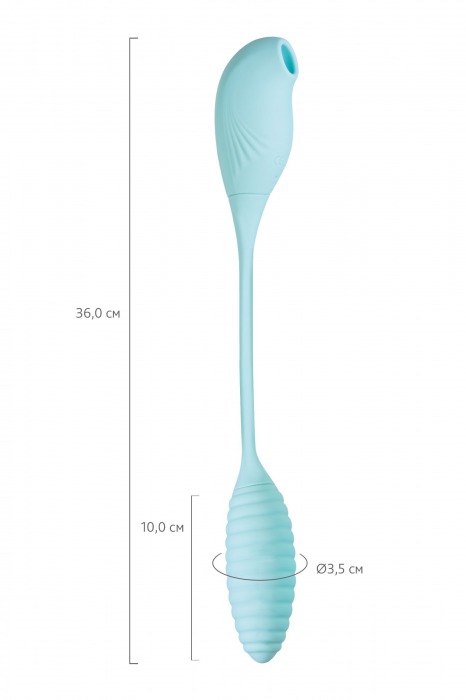 Голубое виброяйцо с вакуум-волновым стимулятором клитора Roow - JOS