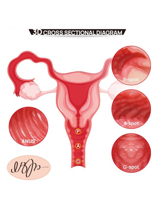 Мастурбатор-полуторс с двойным слоем материала Vanilla Onahole Real Vagina - KOKOS - в Сызрани купить с доставкой