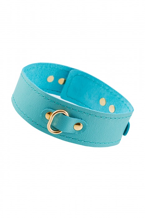 Голубой кожаный однослойный ошейник с прошивкой - Pecado - купить с доставкой в Сызрани