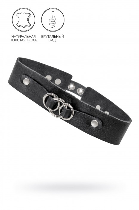 Черный чокер-ошейник со связанными кольцами на подложке - Pecado - купить с доставкой в Сызрани