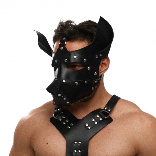 Черная кожаная маска «Собака» - Crazy Handmade - купить с доставкой в Сызрани