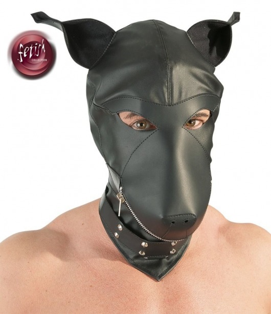 Шлем-маска Dog Mask в виде морды собаки - Orion - купить с доставкой в Сызрани