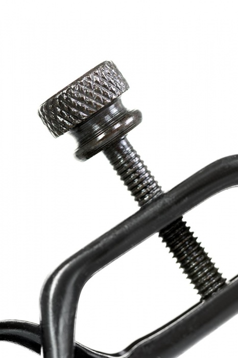 Черно-золотистые зажимы для сосков TOYFA Theatre - ToyFa - купить с доставкой в Сызрани