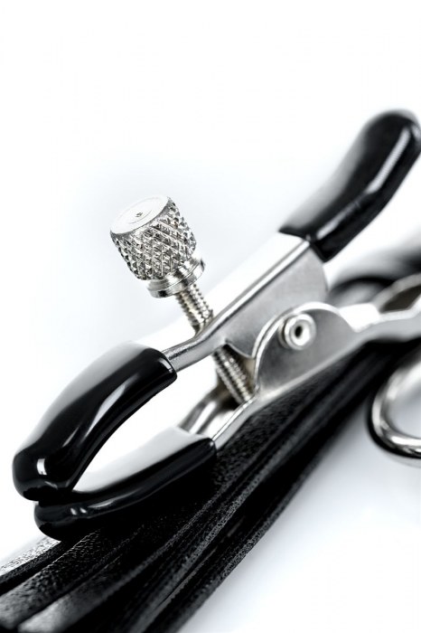 Черно-серебристые зажимы для сосков Theatre с кисточками - ToyFa - купить с доставкой в Сызрани